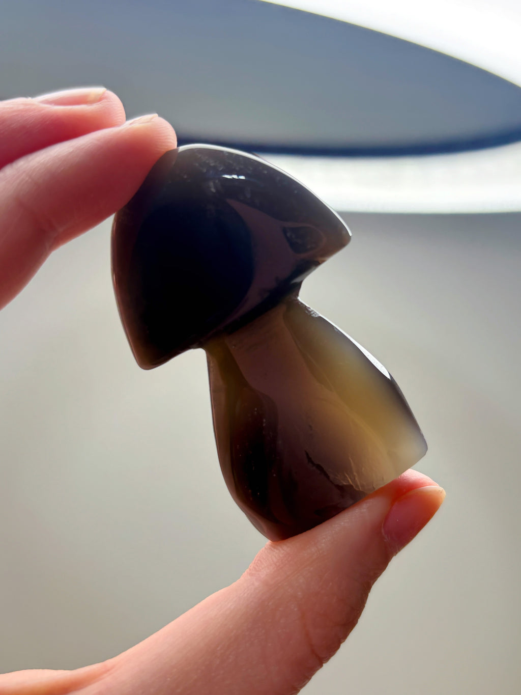 Blue & White Orca Agate Mushroom, Hand-Carved Natural Gemstone Mushroom