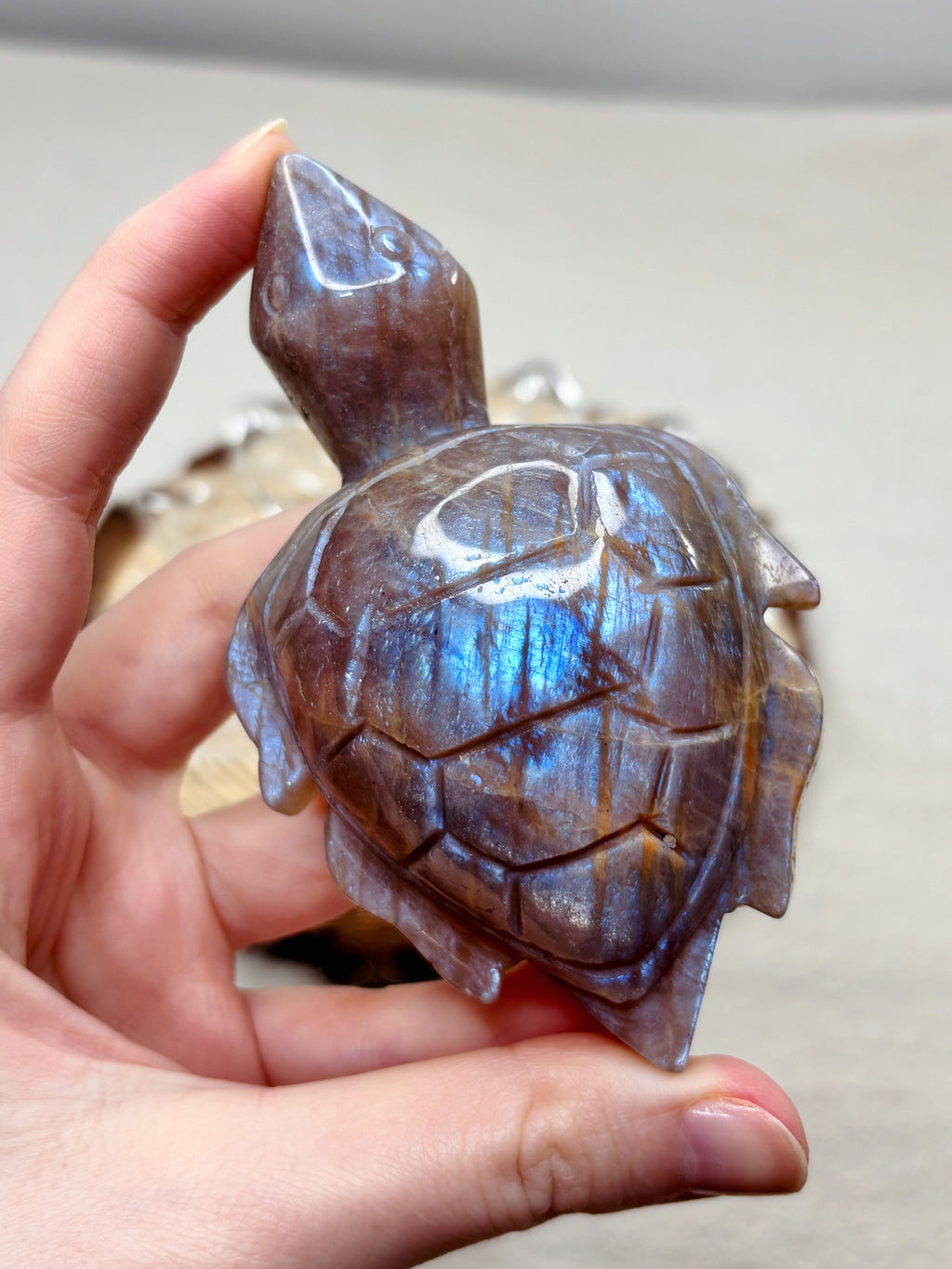 Moonstone Sea Turtle Carving, Natural Blue Flash Moonstone Crystal