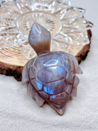 Moonstone Sea Turtle Carving, Natural Blue Flash Moonstone Crystal