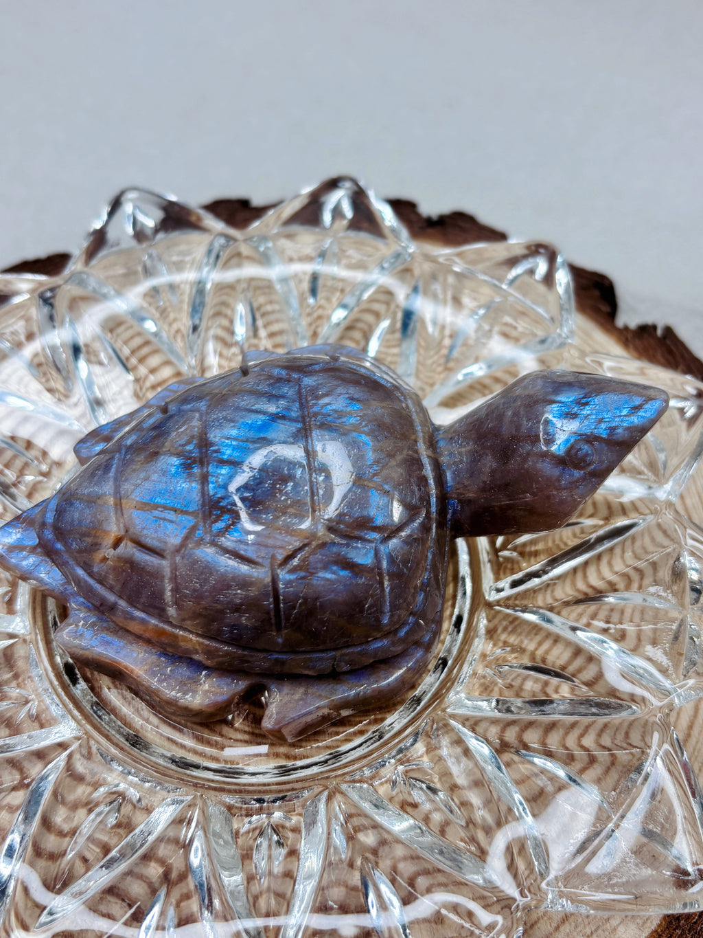 Moonstone Sea Turtle Carving, Natural Blue Flash Moonstone Crystal