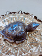 Moonstone Sea Turtle Carving, Natural Blue Flash Moonstone Crystal