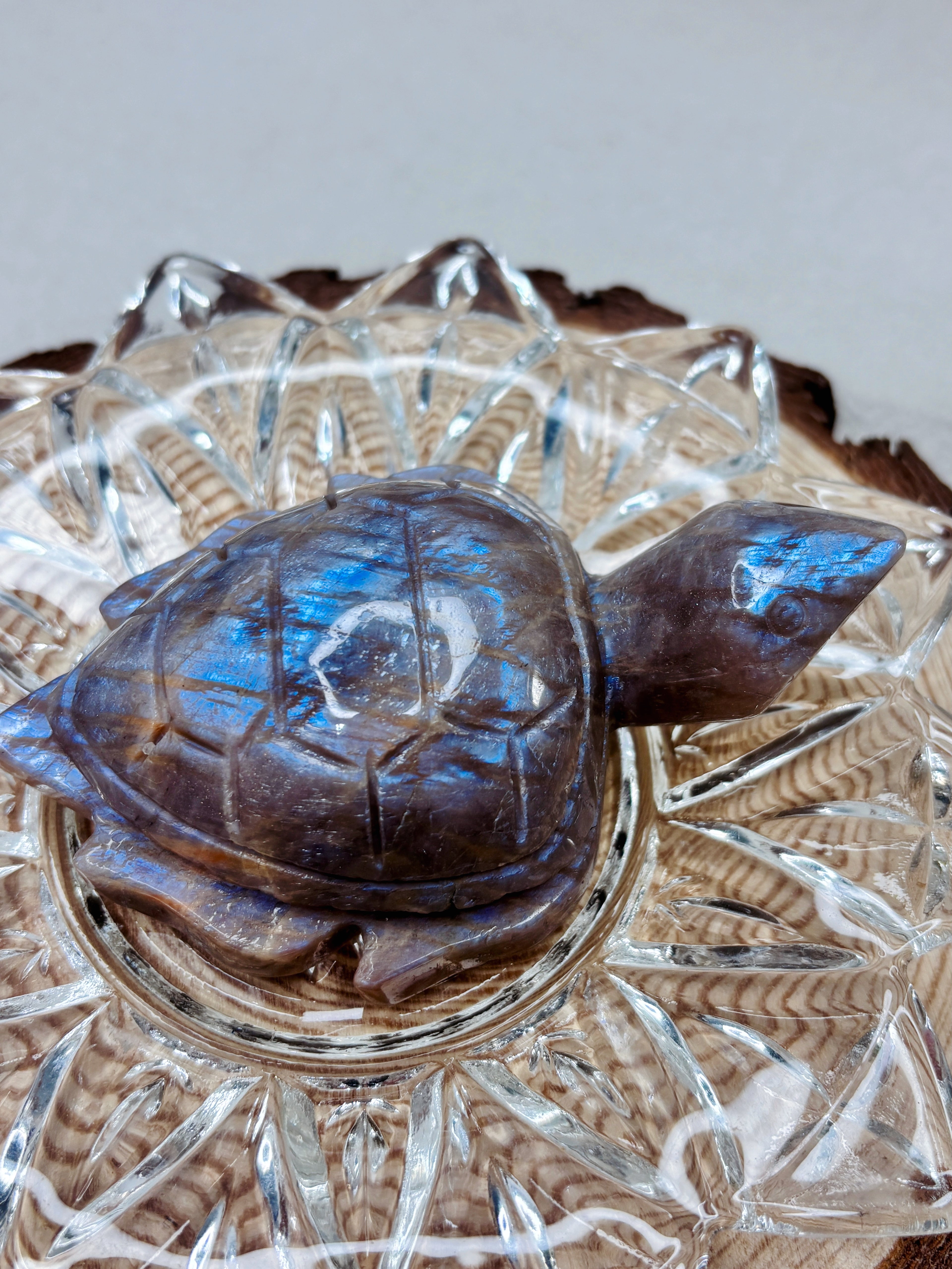 Moonstone Sea Turtle Carving, Natural Blue Flash Moonstone Crystal