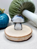 Orca Agate Mushroom Crystal, Hand Carved Natural Gemstone Mushroom