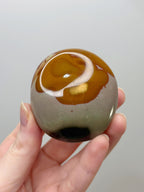Polychrome Jasper Palmstone
