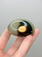 Polychrome Jasper Palmstone