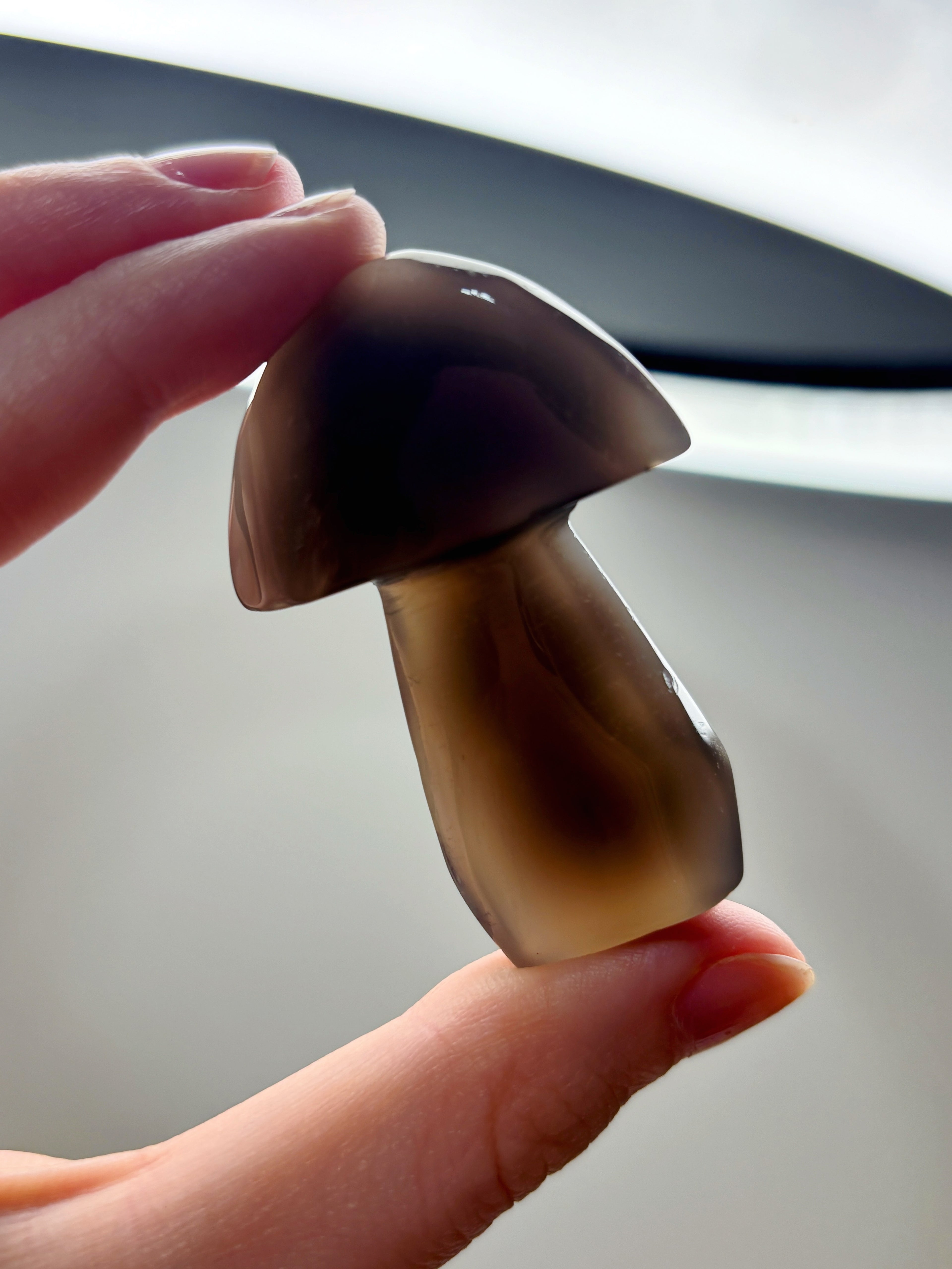 Orca Agate Mushroom Crystal, Hand Carved Natural Gemstone Mushroom
