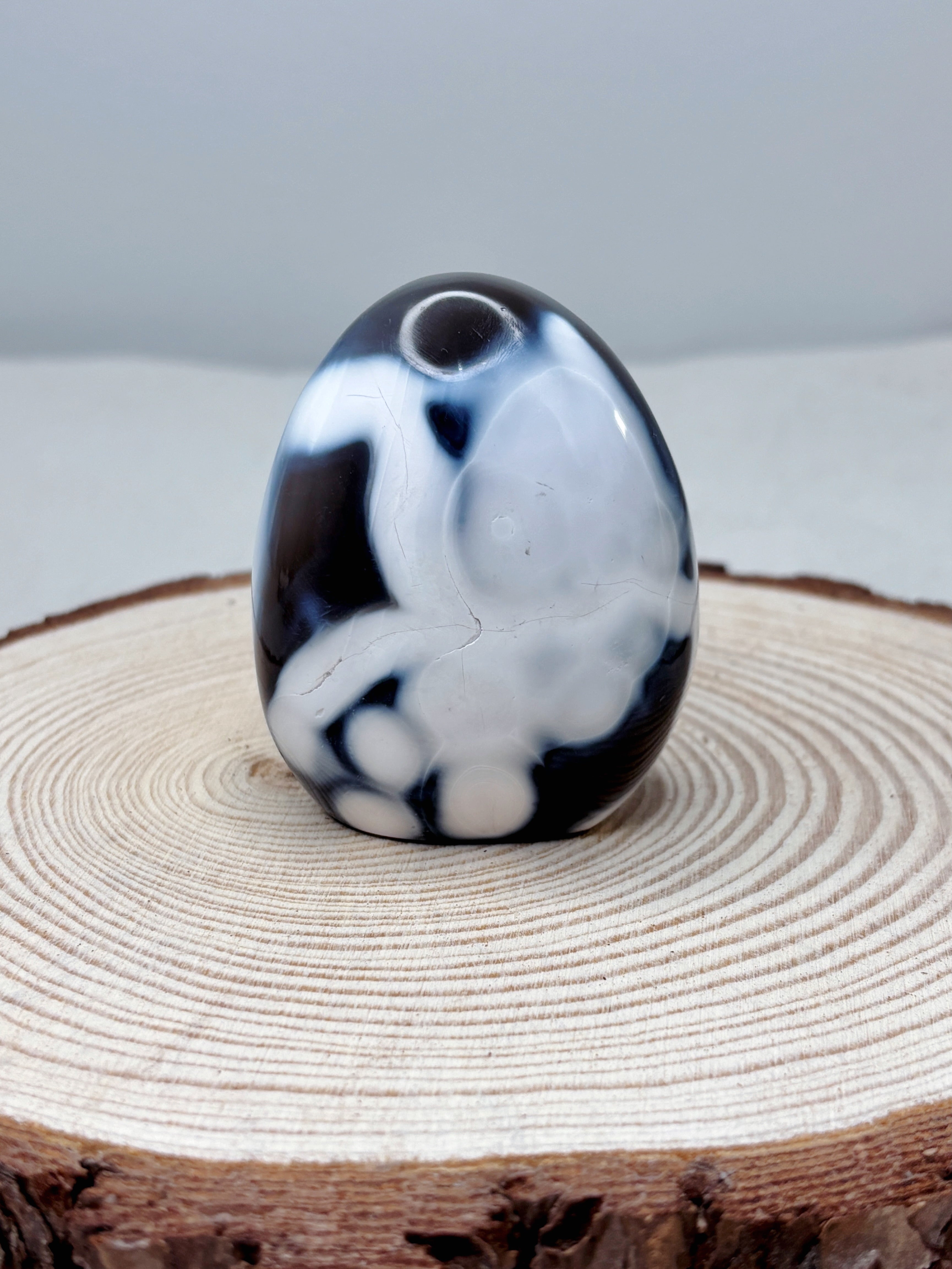 Orca Agate Crystal Freeform