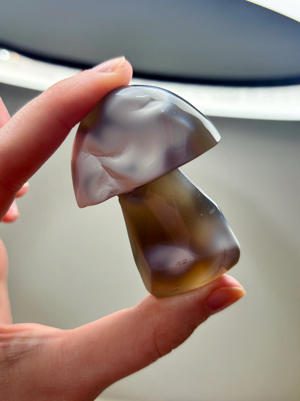 Orca Agate Mushroom Crystal, Hand Carved Natural Gemstone Mushroom