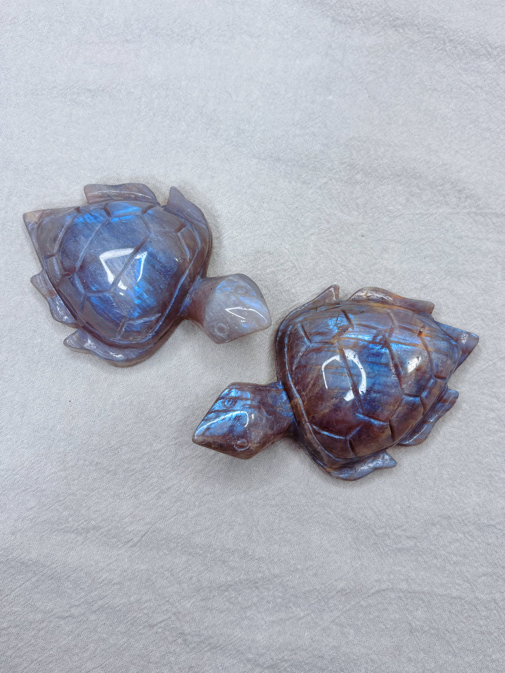 Moonstone Sea Turtle Carving, Natural Blue Flash Moonstone Crystal