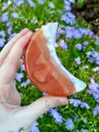 Carnelian Crescent Moon: Orange White Agate Crystal Moon Carving on Display Stand