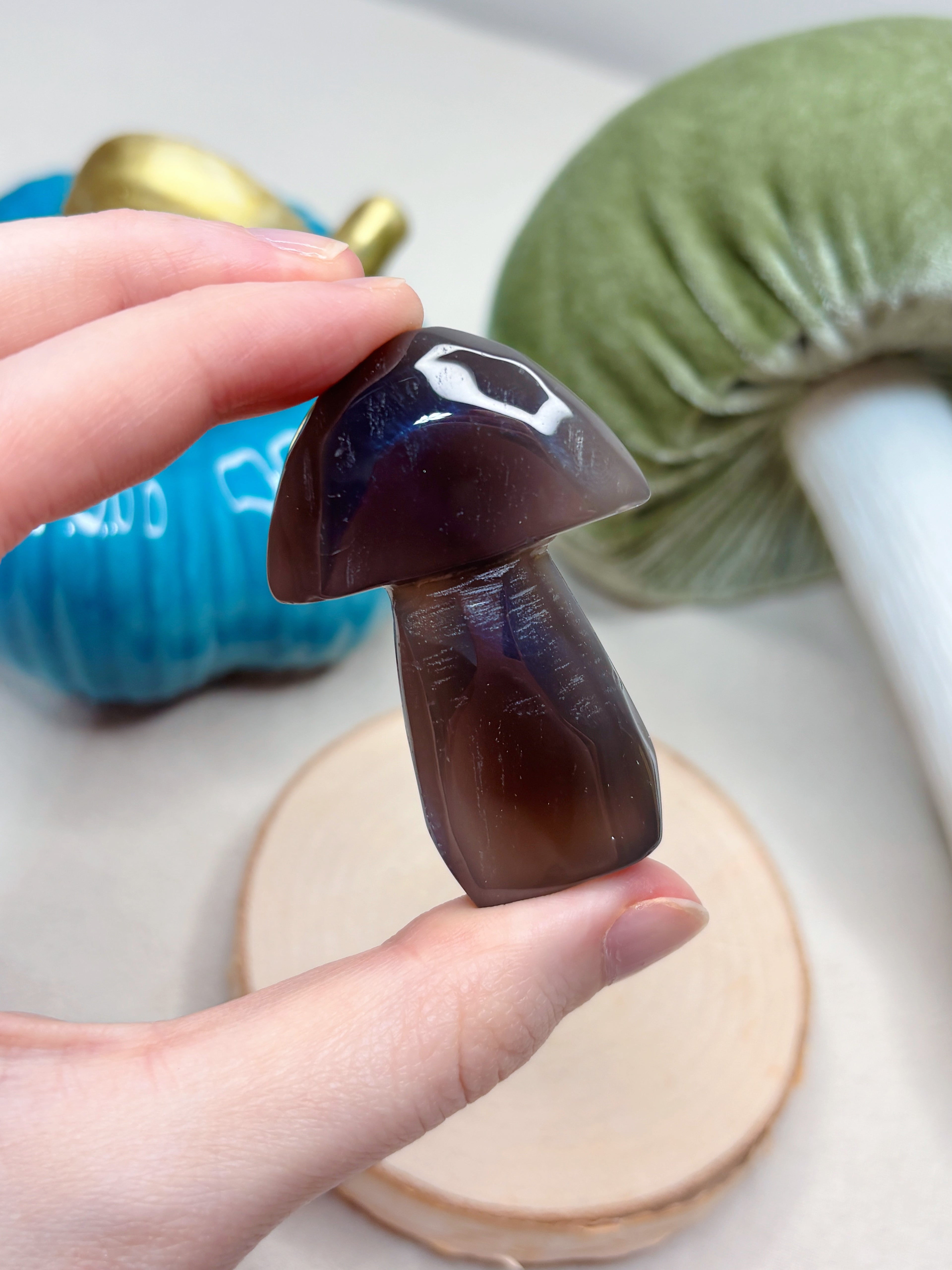 Orca Agate Mushroom Crystal, Hand Carved Natural Gemstone Mushroom