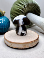 Orca Agate Mushroom Crystal, Hand Carved Natural Gemstone Mushroom