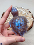 Moonstone Sea Turtle Carving, Natural Blue Flash Moonstone Crystal