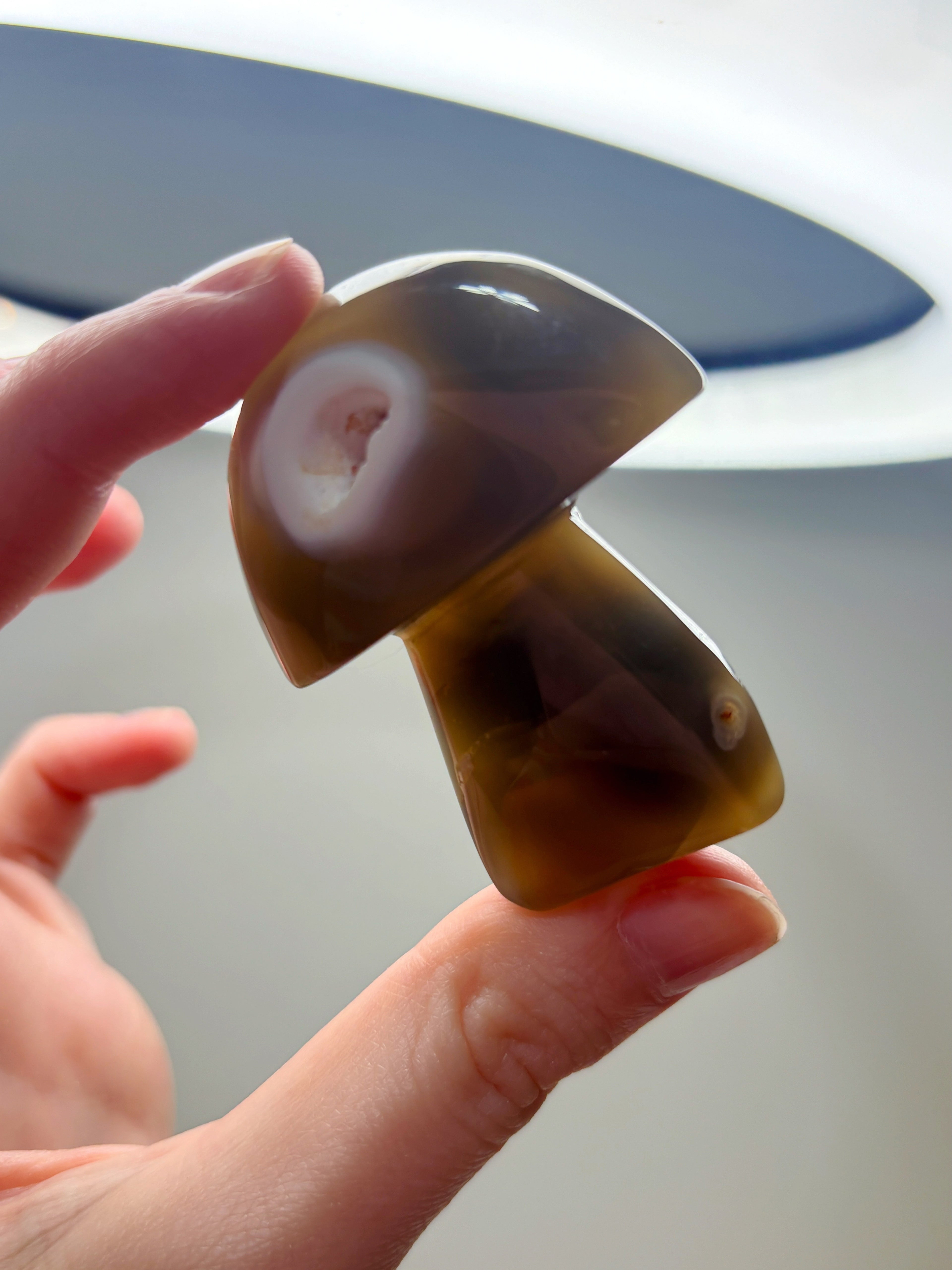 Orca Agate Mushroom Crystal, Hand Carved Natural Gemstone Mushroom