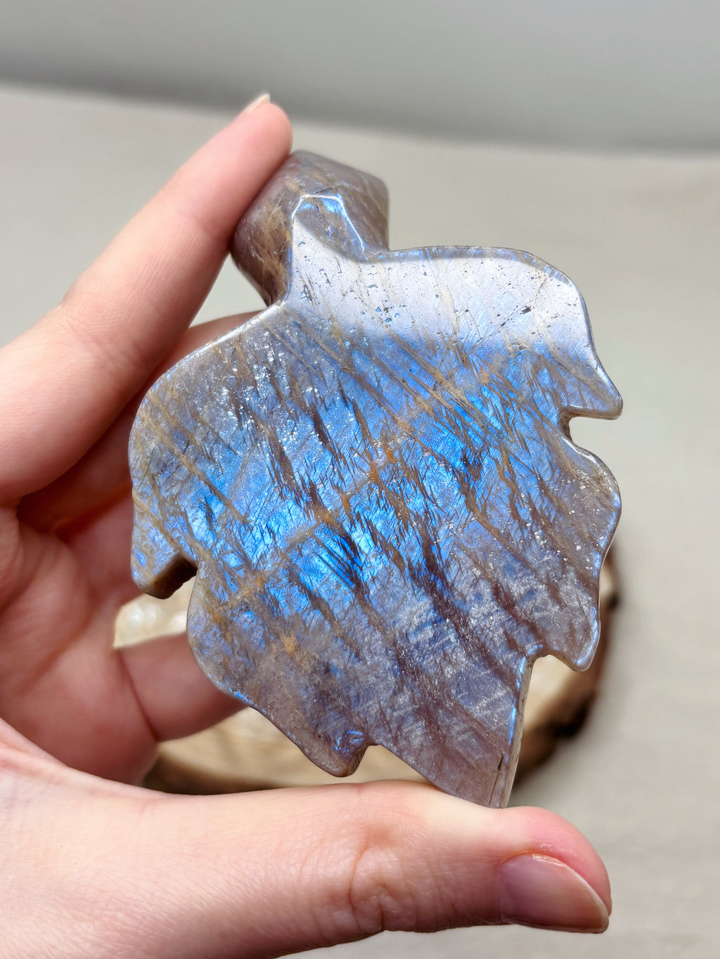 Moonstone Sea Turtle Carving, Natural Blue Flash Moonstone Crystal