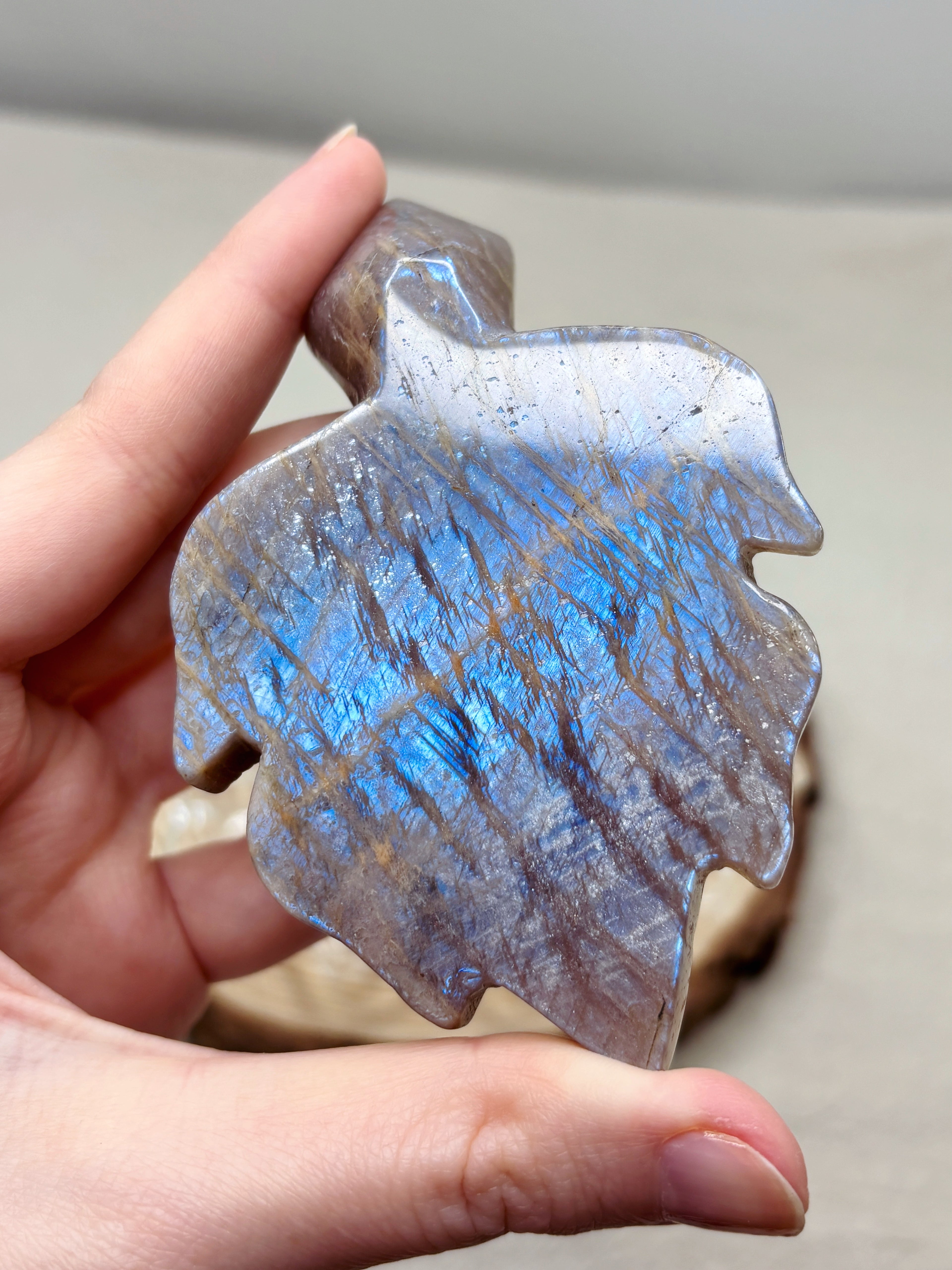 Moonstone Sea Turtle Carving, Natural Blue Flash Moonstone Crystal