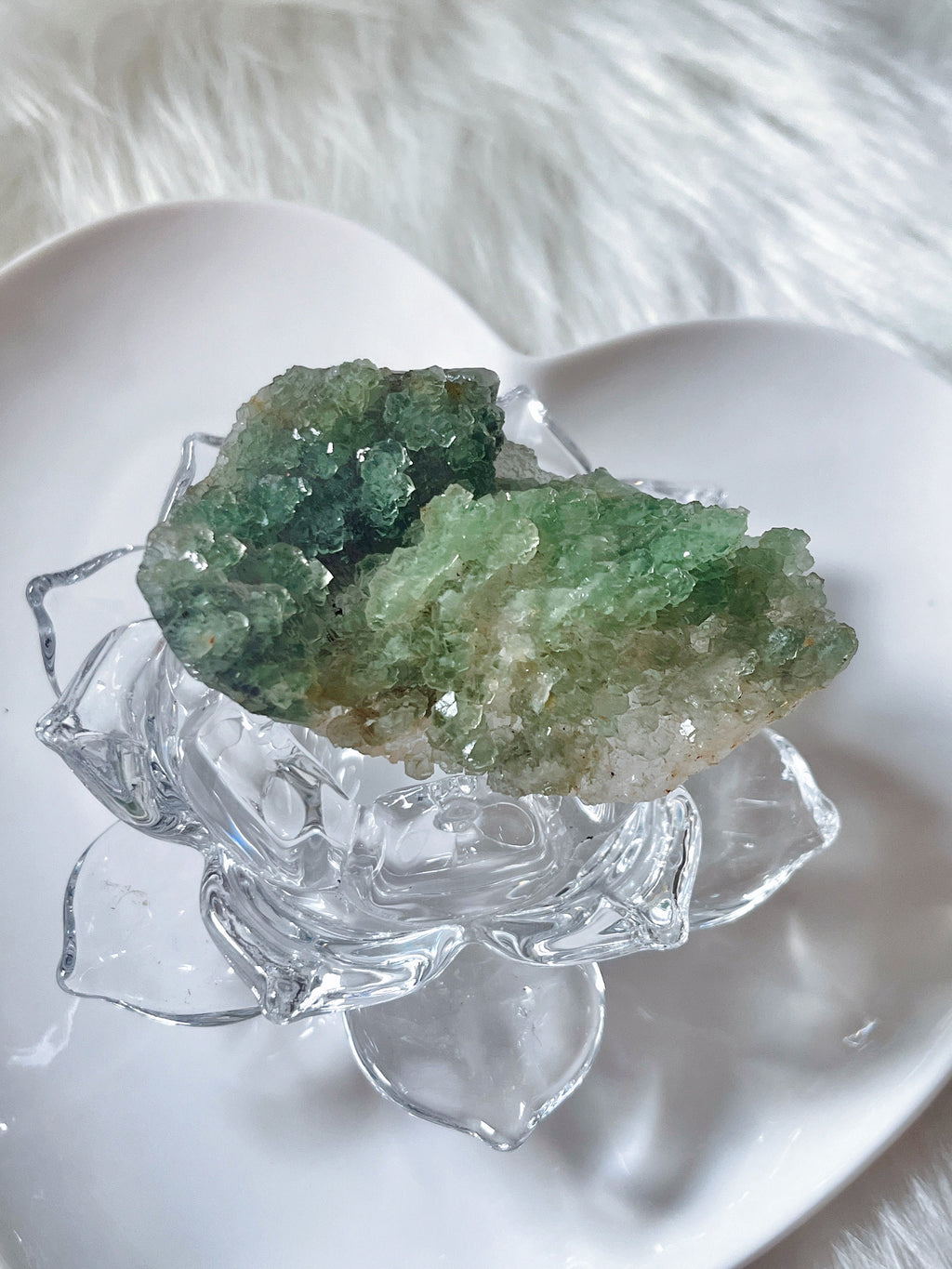 Botryoidal Green Fluorite, Natural Raw Green Fluorite Crystal Cluster/Mineral Specimen