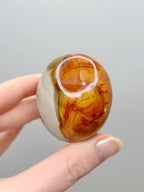 Polychrome Jasper Palmstone
