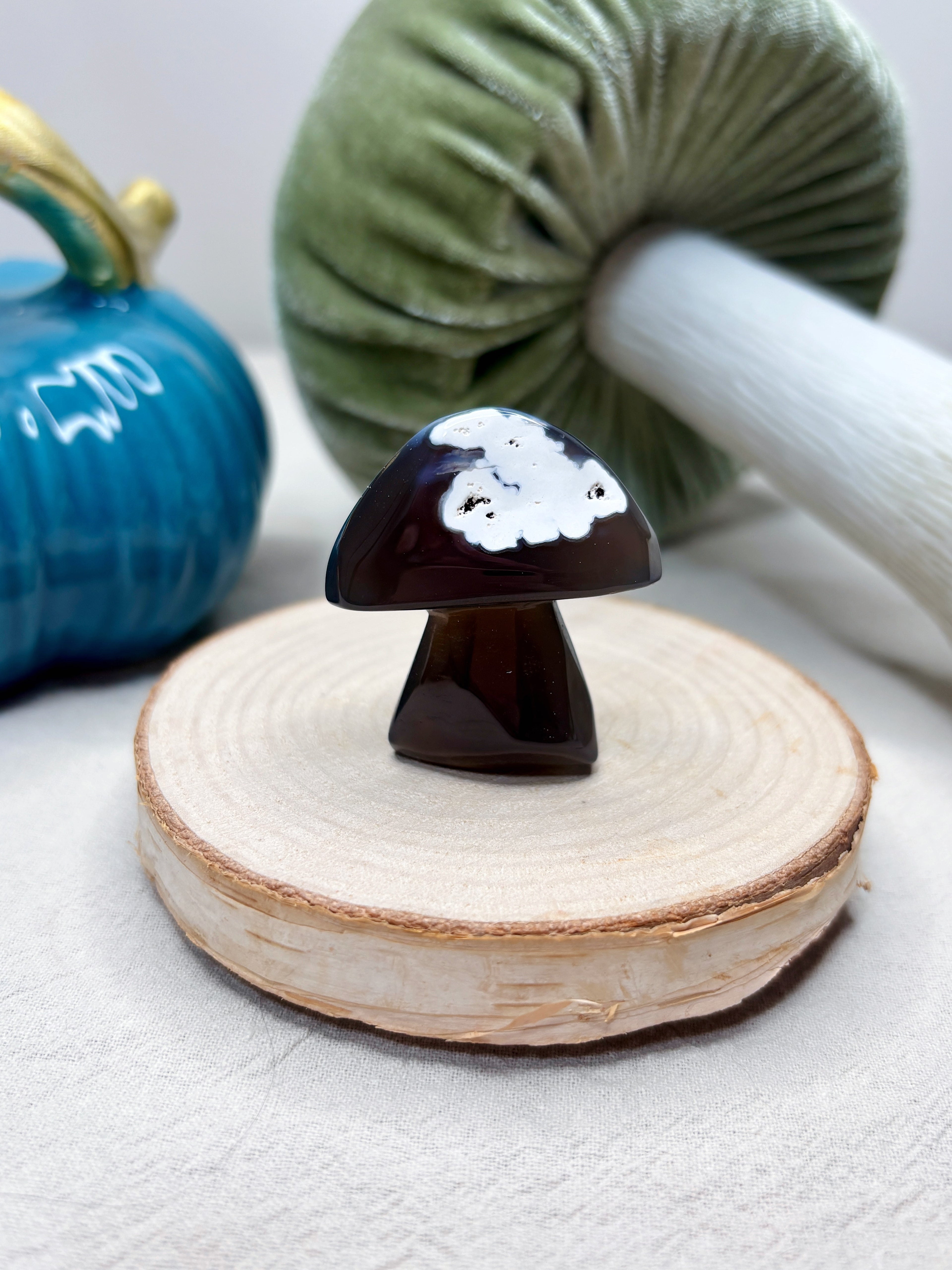 Orca Agate Mushroom Crystal, Hand Carved Natural Gemstone Mushroom