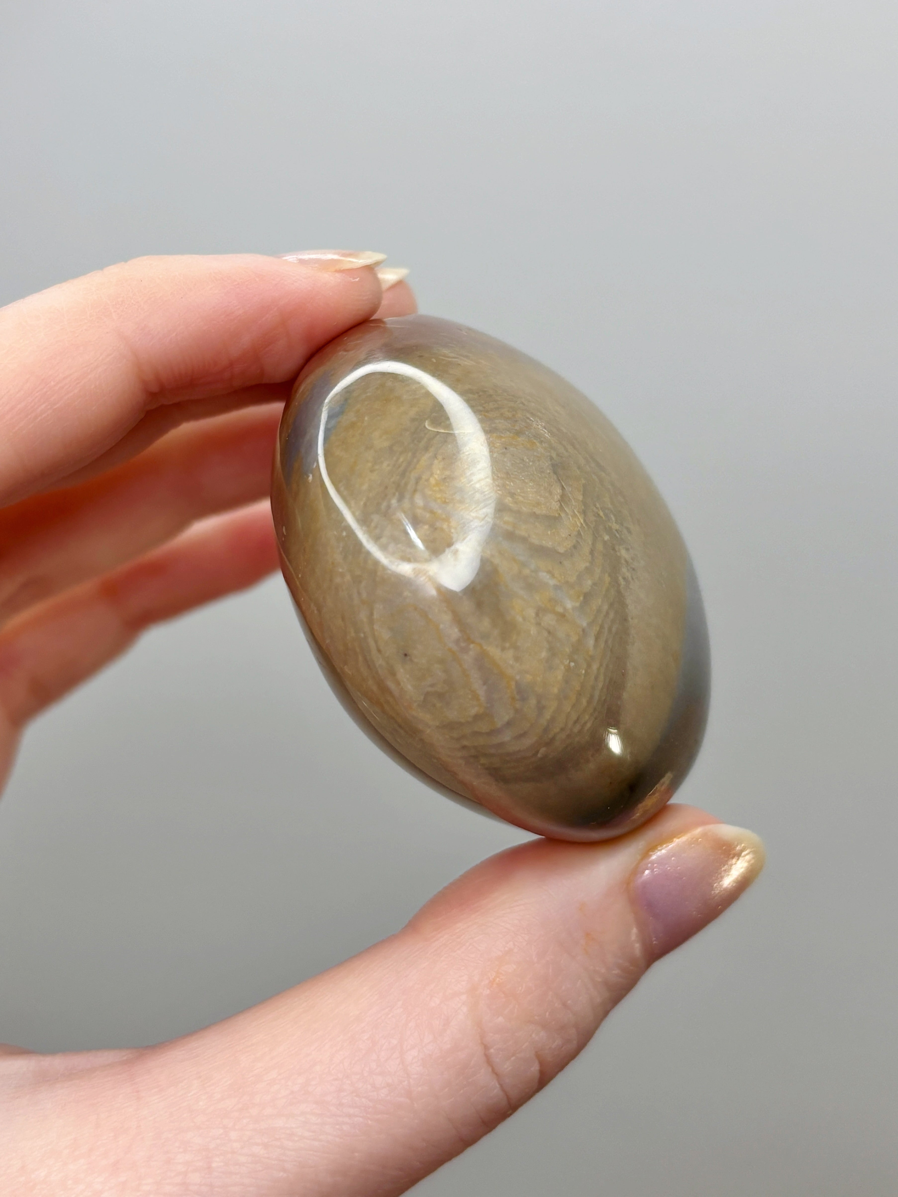 Polychrome Jasper Palmstone