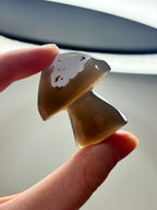Orca Agate Mushroom Crystal, Hand Carved Natural Gemstone Mushroom