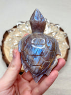 Moonstone Sea Turtle Carving, Natural Blue Flash Moonstone Crystal