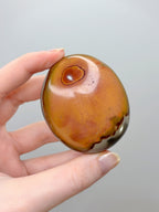 Polychrome Jasper Palmstone