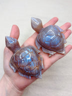 Moonstone Sea Turtle Carving, Natural Blue Flash Moonstone Crystal