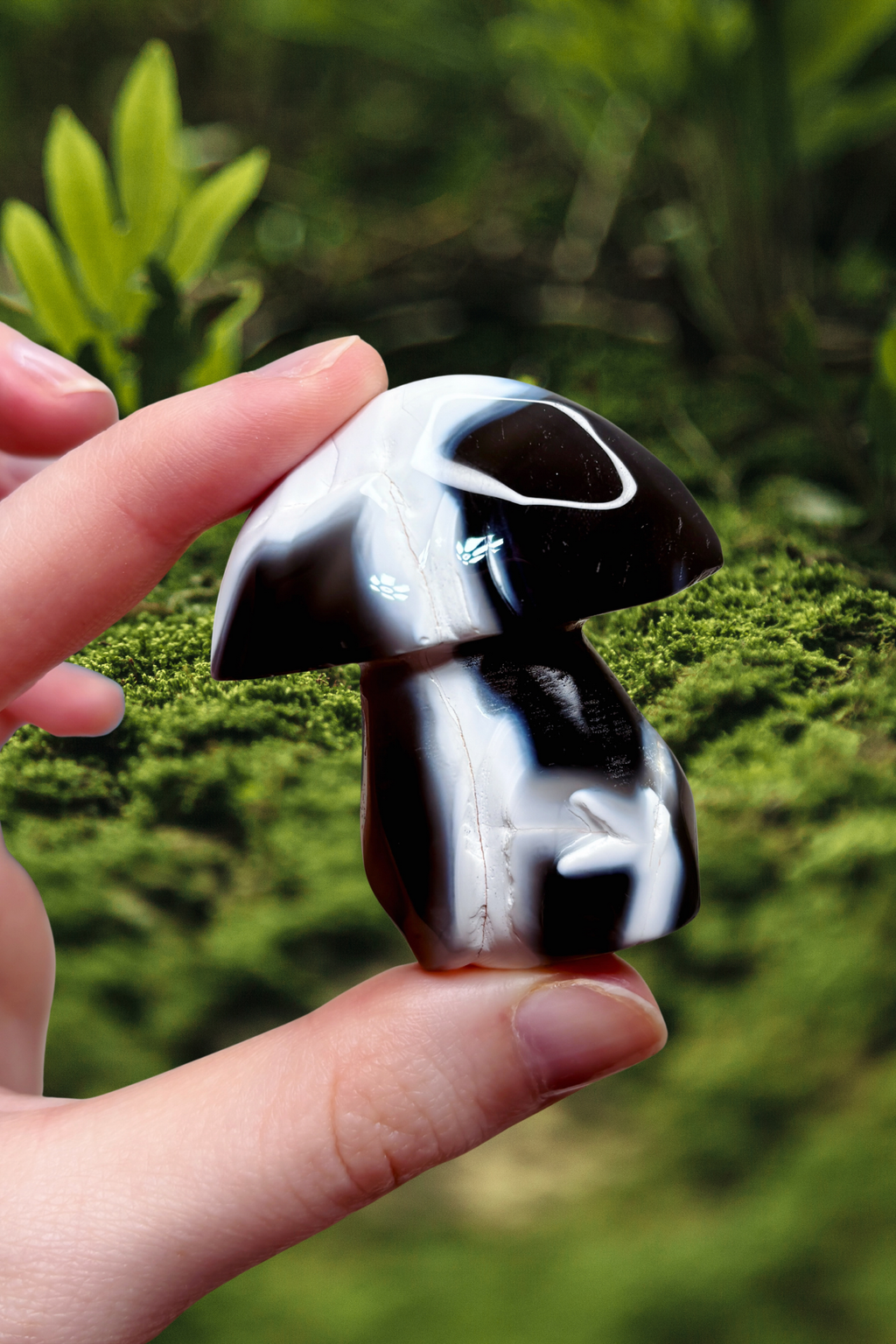 Orca Agate Mushroom Crystal, Hand Carved Natural Gemstone Mushroom