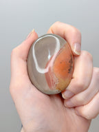 Polychrome Jasper Palmstone