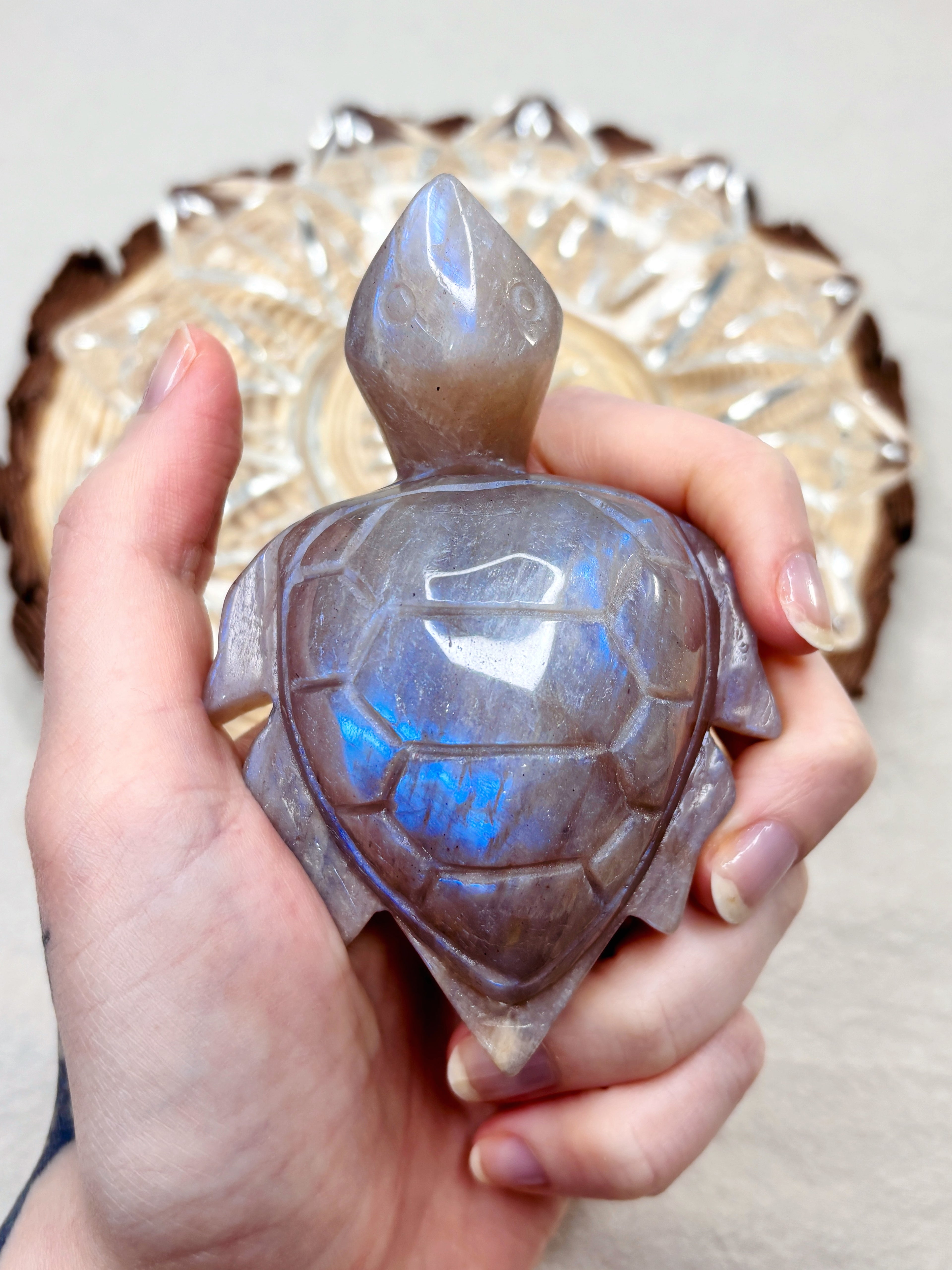 Moonstone Sea Turtle Carving, Natural Blue Flash Moonstone Crystal