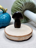 Orca Agate Mushroom Crystal, Hand Carved Natural Gemstone Mushroom
