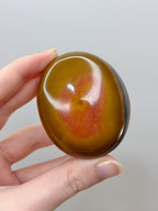 Polychrome Jasper Palmstone