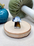 Small Orca Agate Mushroom, Hand Carved Gemstone Mushroom