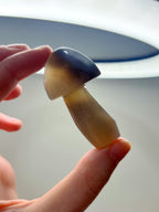 Orca Agate Mushroom Crystal, Hand Carved Natural Gemstone Mushroom