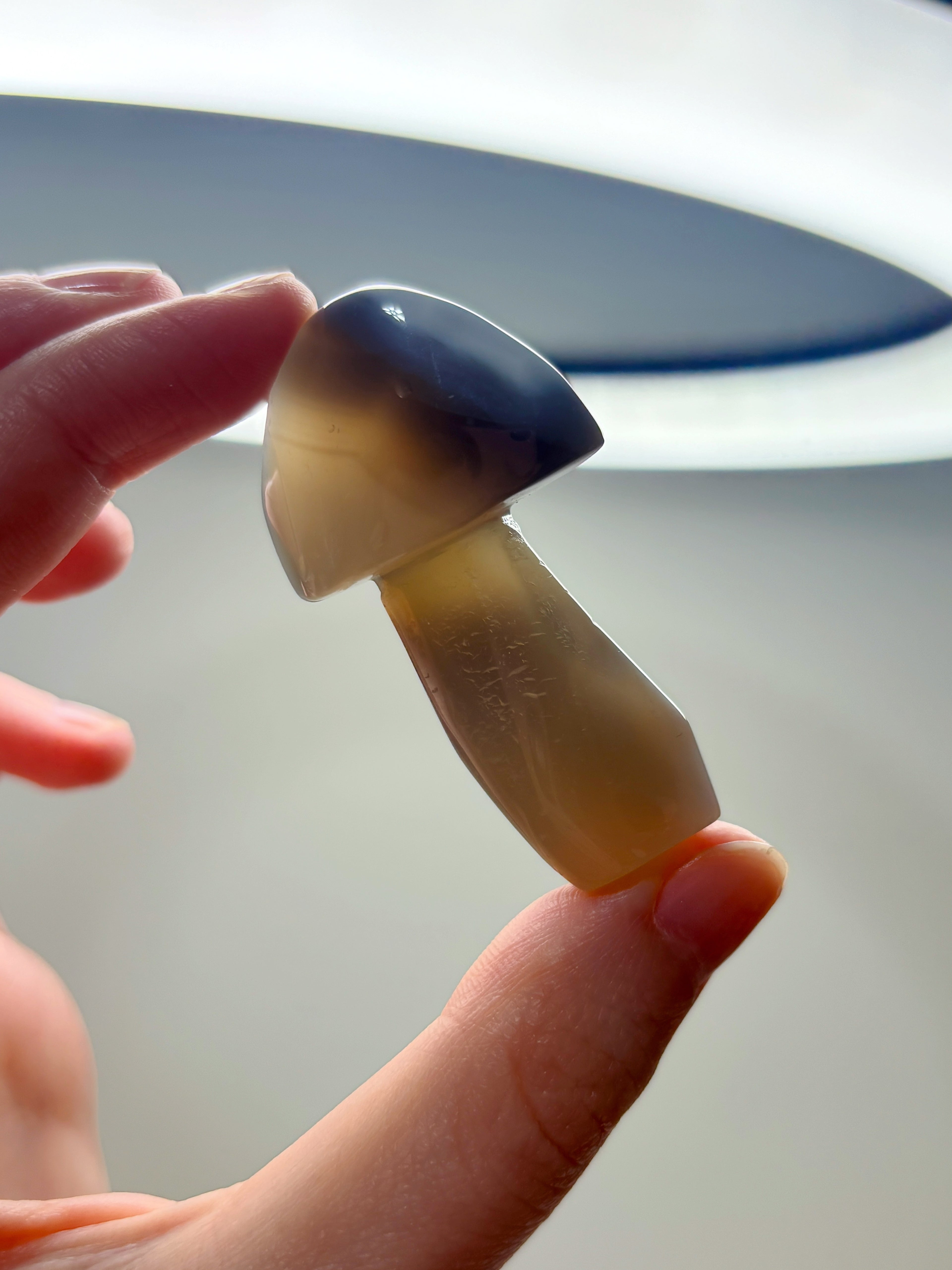 Orca Agate Mushroom Crystal, Hand Carved Natural Gemstone Mushroom