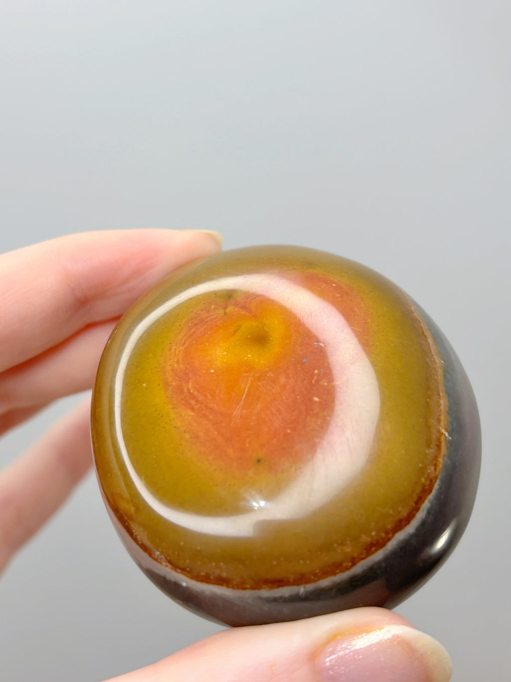 Polychrome Jasper Palmstone