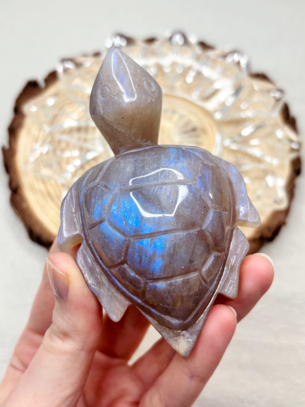 Moonstone Sea Turtle Carving, Natural Blue Flash Moonstone Crystal