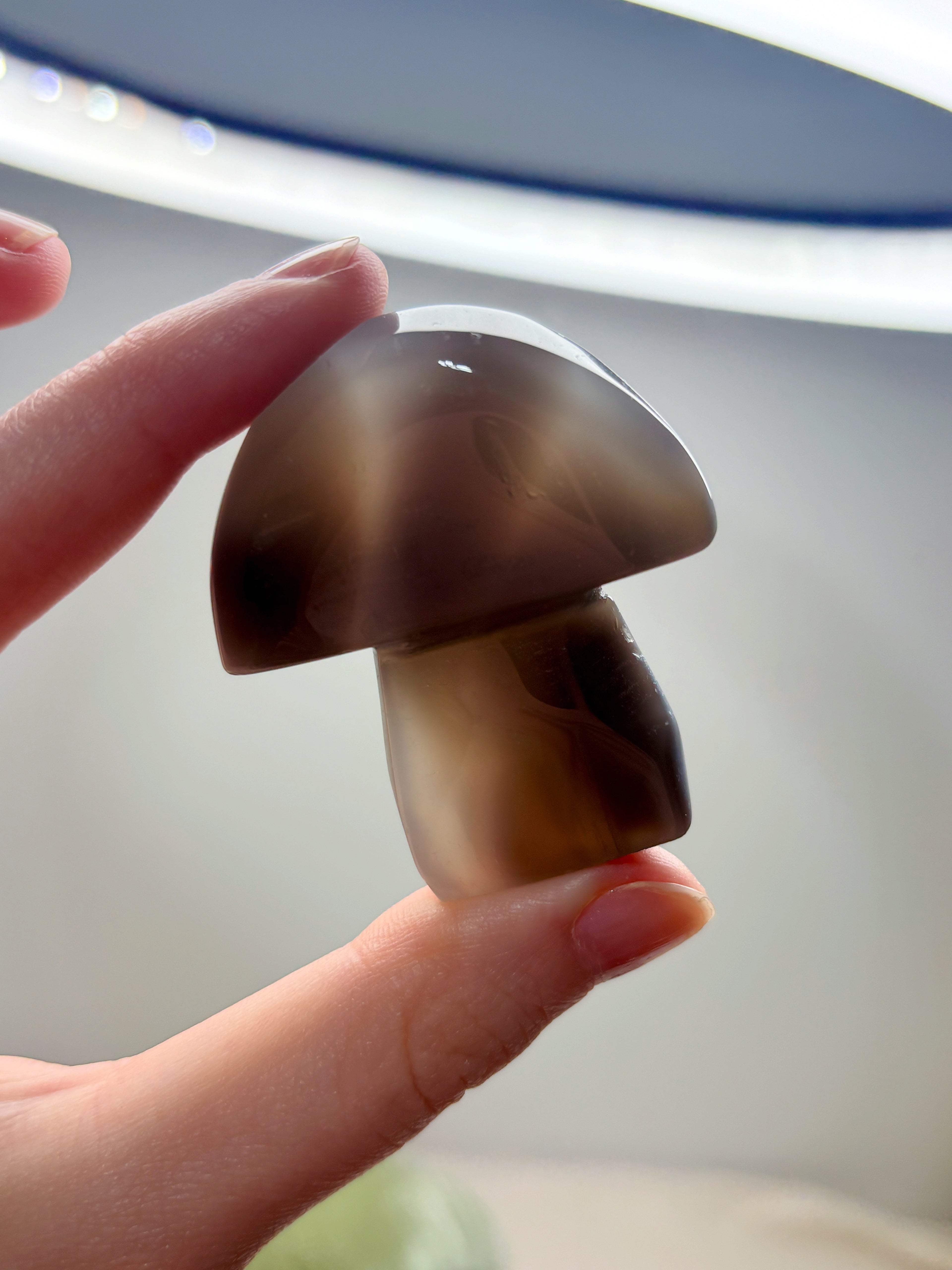 Orca Agate Mushroom Crystal, Hand Carved Natural Gemstone Mushroom