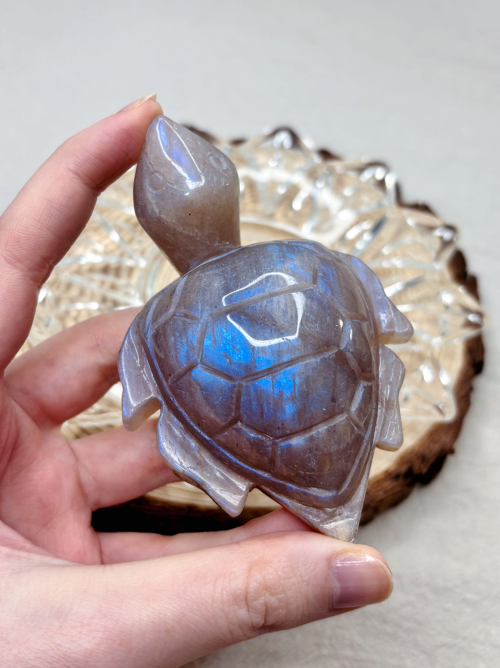 Moonstone Sea Turtle Carving, Natural Blue Flash Moonstone Crystal