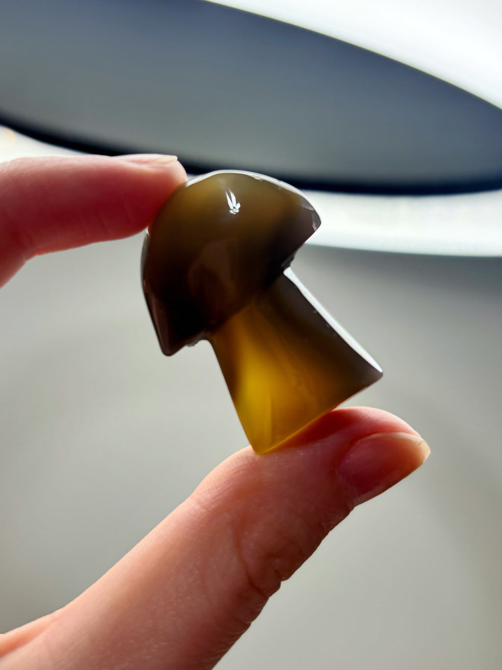 Small Orca Agate Mushroom, Hand Carved Gemstone Mushroom