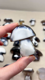 Orca Agate Mushroom Crystal, Hand Carved Natural Gemstone Mushroom