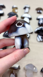 Orca Agate Mushroom Crystal, Hand Carved Natural Gemstone Mushroom