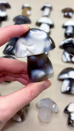 Orca Agate Mushroom Crystal, Hand Carved Natural Gemstone Mushroom