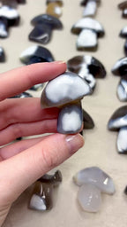 Orca Agate Mushroom Crystal, Hand Carved Natural Gemstone Mushroom