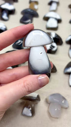 Orca Agate Mushroom Crystal, Hand Carved Natural Gemstone Mushroom